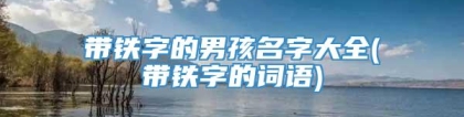 带铁字的男孩名字大全(带铁字的词语)