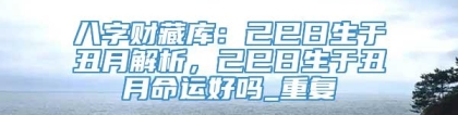 八字财藏库：己巳日生于丑月解析，己巳日生于丑月命运好吗_重复