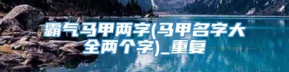 霸气马甲两字(马甲名字大全两个字)_重复