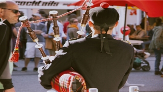 八字查询五行缺什么(自己生辰八字五行缺什么)