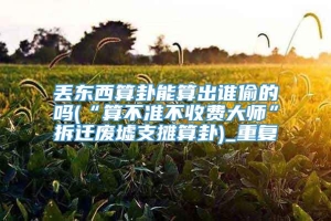 丢东西算卦能算出谁偷的吗(“算不准不收费大师”拆迁废墟支摊算卦)_重复