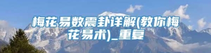 梅花易数震卦详解(教你梅花易术)_重复