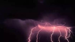 八字纯阴纯阳(大师是如何诊断男女主角是纯阳)