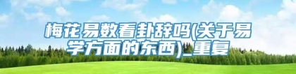 梅花易数看卦辞吗(关于易学方面的东西)_重复