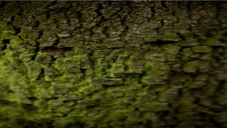 爸爸做梦梦到女儿死了痛哭(女儿梦见爸爸去世大哭)