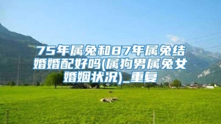 75年属兔和87年属兔结婚婚配好吗(属狗男属兔女婚姻状况)_重复