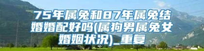 75年属兔和87年属兔结婚婚配好吗(属狗男属兔女婚姻状况)_重复