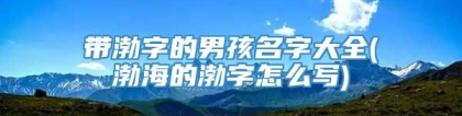 带渤字的男孩名字大全(渤海的渤字怎么写)