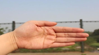 男人双手断掌好不好爱情婚姻(感情线断掌的女人手相)