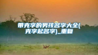 带克字的男孩名字大全(克字起名字)_重复