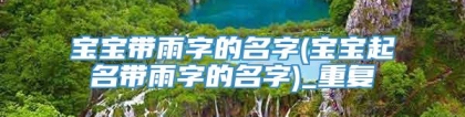宝宝带雨字的名字(宝宝起名带雨字的名字)_重复