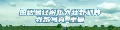 白话易经解析大壮卦驯养牲畜写真_重复