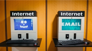 男虎女牛相配吗(男虎女牛能过一辈子吗)