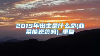 2015年出生是什么命(韭菜能逆袭吗)_重复