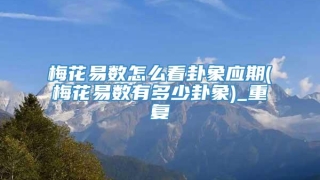 梅花易数怎么看卦象应期(梅花易数有多少卦象)_重复