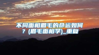 不同面相眉毛的命运如何?(眉毛面相学)_重复