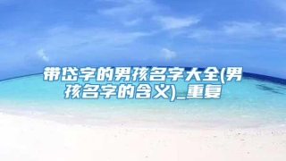 带岱字的男孩名字大全(男孩名字的含义)_重复