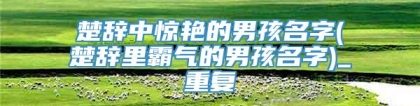 楚辞中惊艳的男孩名字(楚辞里霸气的男孩名字)_重复