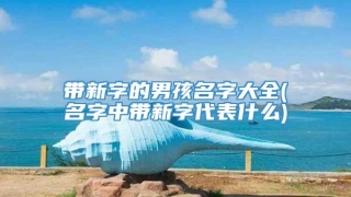 带新字的男孩名字大全(名字中带新字代表什么)
