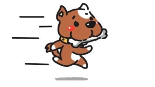 按风水说法家里养狗好不好(属狗人养狗好吗)