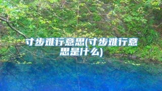 寸步难行意思(寸步难行意思是什么)