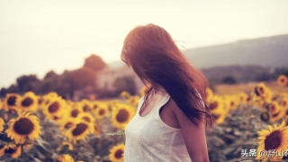 CCTV纪录片算命的真相完整版(人到中年才醒悟)