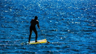 梦到花瓶碎了是什么寓意(梦到把花瓶打碎了是什么意思)