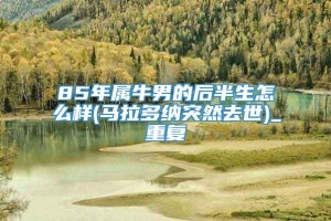 85年属牛男的后半生怎么样(马拉多纳突然去世)_重复