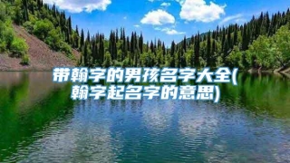 带翰字的男孩名字大全(翰字起名字的意思)