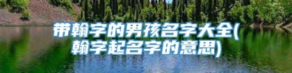 带翰字的男孩名字大全(翰字起名字的意思)