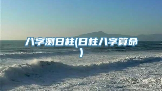 八字测日柱(日柱八字算命)
