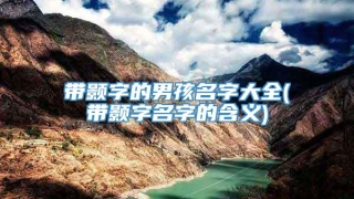 带颢字的男孩名字大全(带颢字名字的含义)