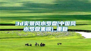 3d实景风水罗盘(中国风水罗盘集锦)_重复