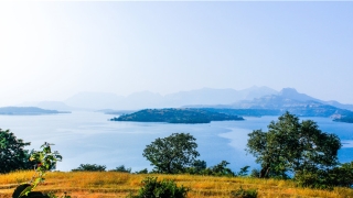 梦到非常巨大的蟒蛇(梦见蟒蛇是什么梦)