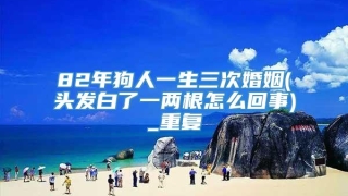 82年狗人一生三次婚姻(头发白了一两根怎么回事)_重复