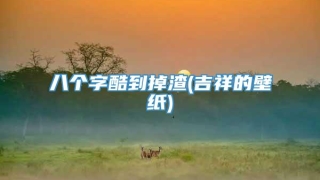 八个字酷到掉渣(吉祥的壁纸)