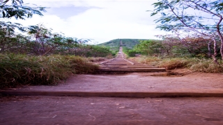 带木字旁的男孩名字(名字大全男孩木字旁)