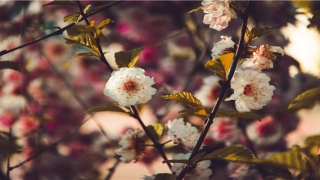 8word 免费算命(学易十年收藏周易术数)