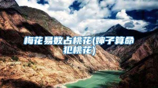 梅花易数占桃花(婶子算命犯桃花)