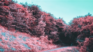 八月十八出生的女人什么命(致敬了不起的她)