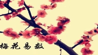 王寅梅花易数教学(十分钟学会梅花易数先天卦)