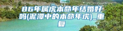 86年属虎本命年结婚好吗(泥潭中的本命年虎)_重复