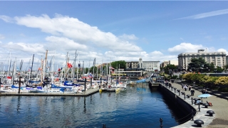 金水相生的女命(女命金水伤官)