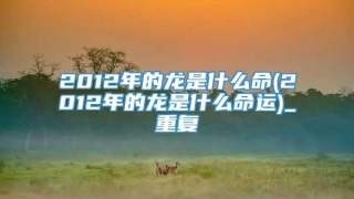 2012年的龙是什么命(2012年的龙是什么命运)_重复