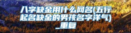 八字缺金用什么网名(五行起名缺金的男孩名字洋气)_重复