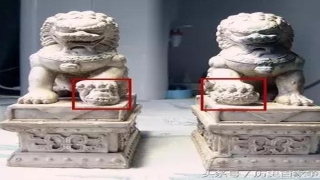 大门前放石狮还是麒麟(门前的石狮子是什么神兽)