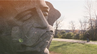 85年属牛的最佳配偶男(65年属蛇男爱情婚姻怎么样)