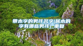 带木字的男孩名字(属木的字有哪些男孩)_重复