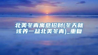 北美冬青寓意招财(冬天就该养一盆北美冬青)_重复