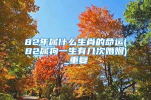 82年属什么生肖的命运(82属狗一生有几次婚姻)_重复